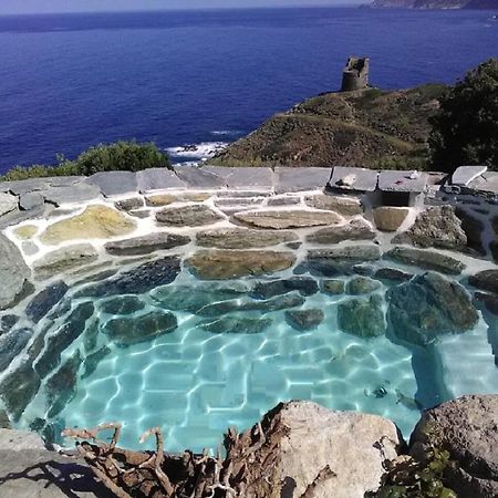 Logement De Charme Avec Piscine Privative Pino Eksteriør billede