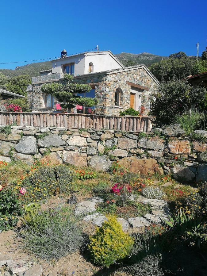 Logement De Charme Avec Piscine Privative Pino Eksteriør billede