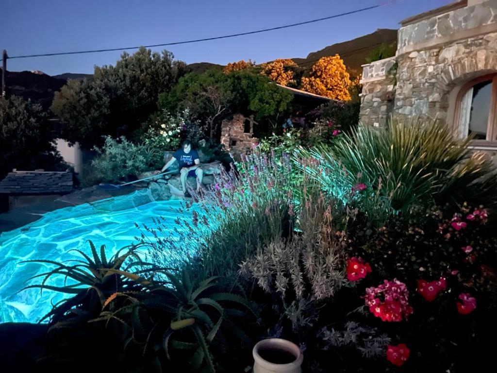 Logement De Charme Avec Piscine Privative Pino Eksteriør billede