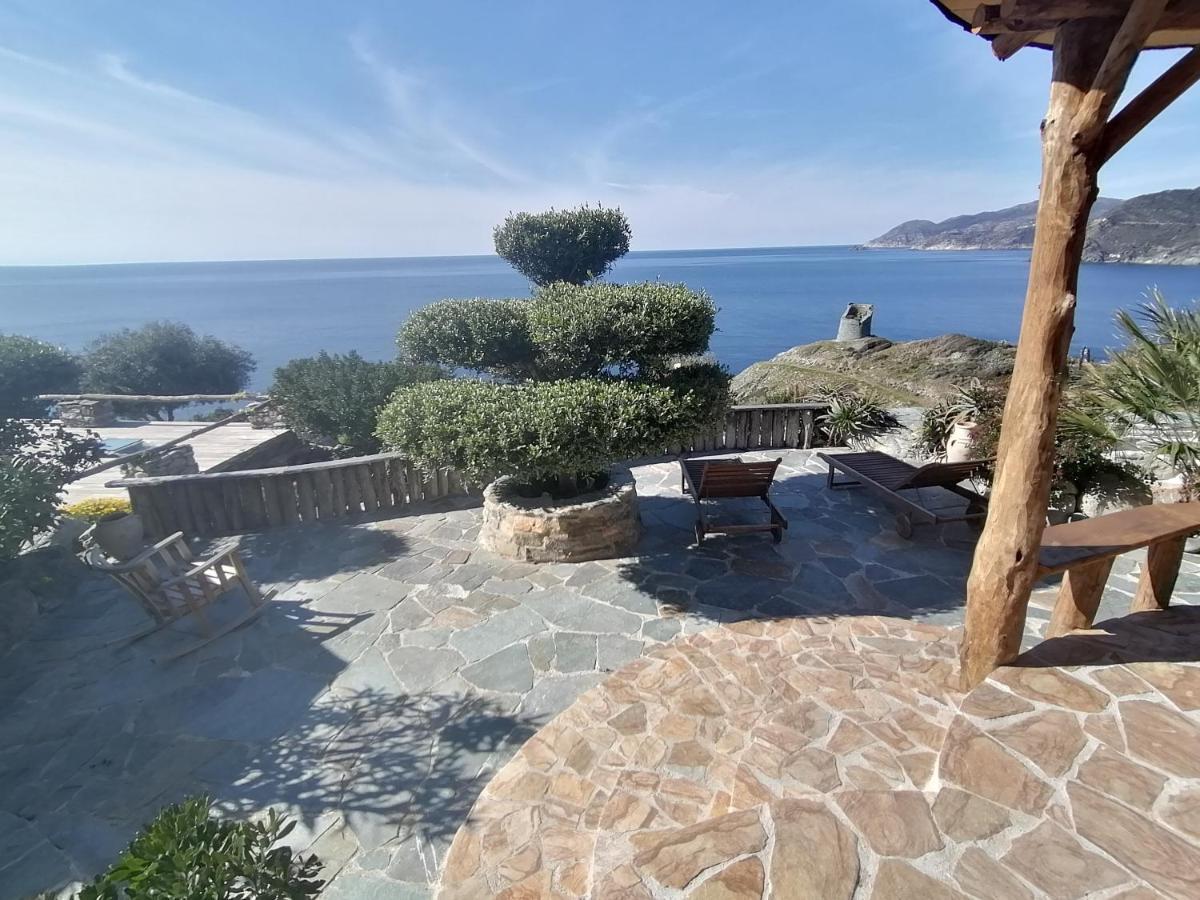 Logement De Charme Avec Piscine Privative Pino Eksteriør billede